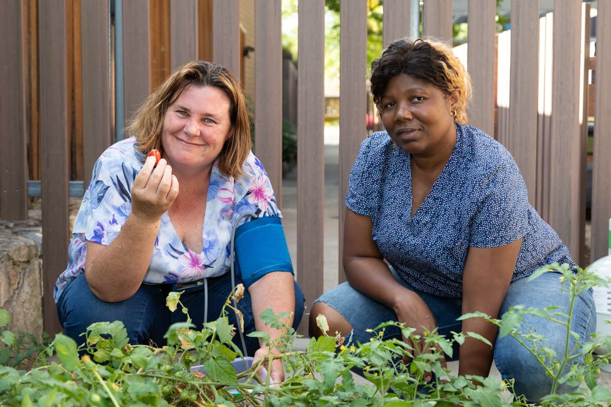 Step 4: Set Up Payments